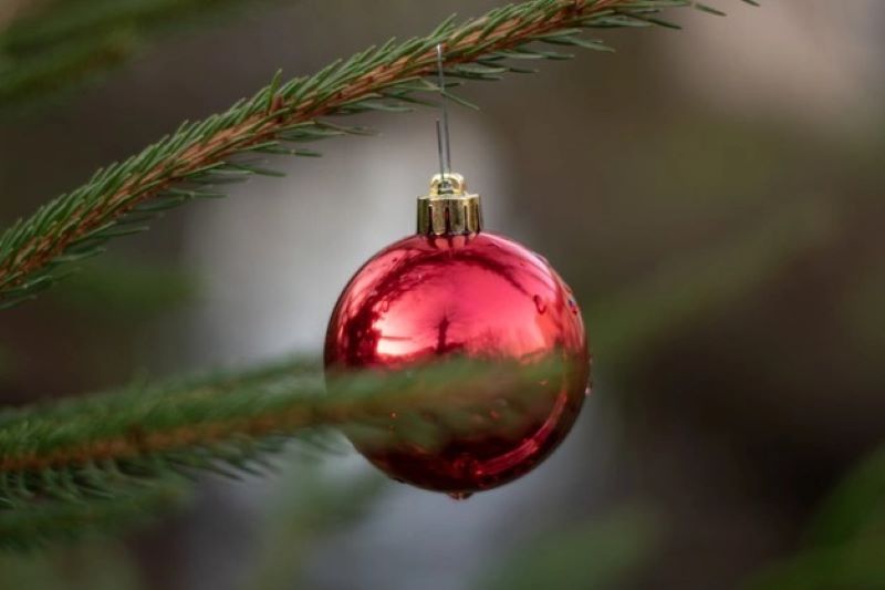 selective-focus-shot-red-christm