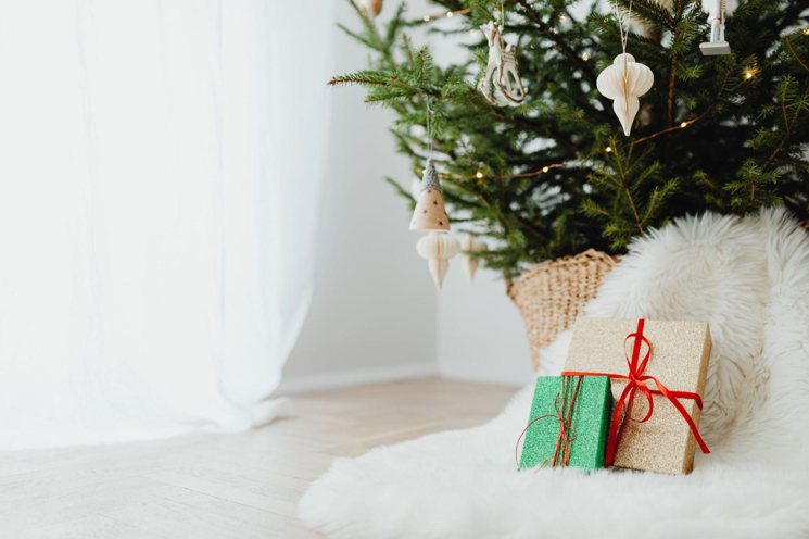 Affordable Christmas Trees for a Joyful Holiday