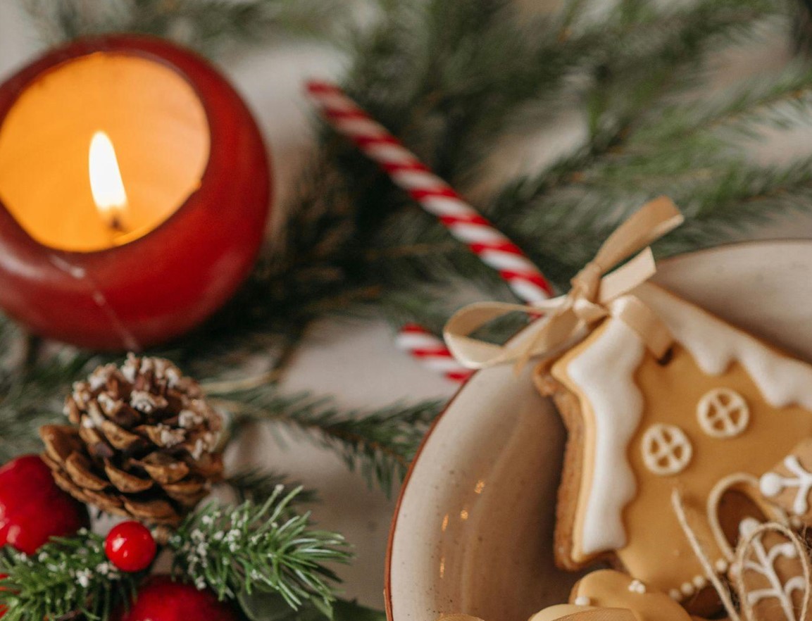 Find the Perfect Christmas Tree for Sale